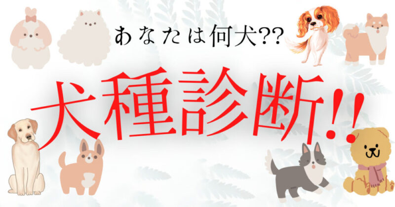 あなたは何犬？？犬種診断！！