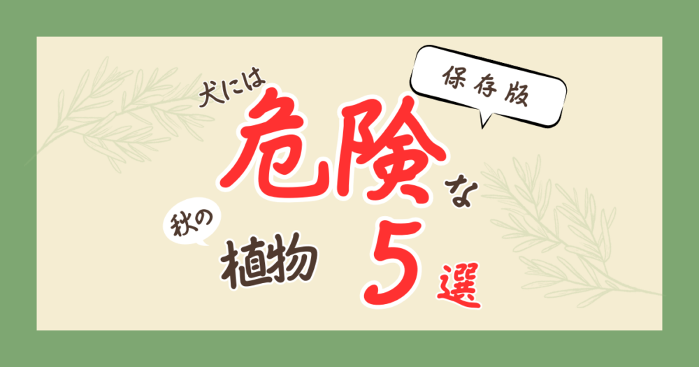犬にとって有毒な秋の植物やアイテム 9 つのうちどれですか?