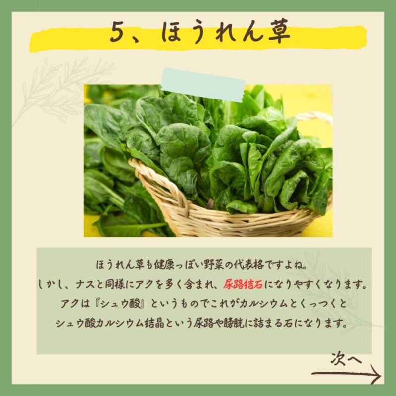 【保存版】実は...！犬に超危険な野菜5選！　ほうれん草