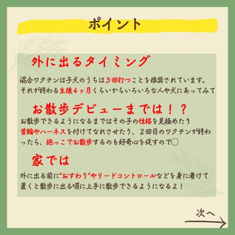 子犬のうちにやっておけばよかったこと5選　ポイント