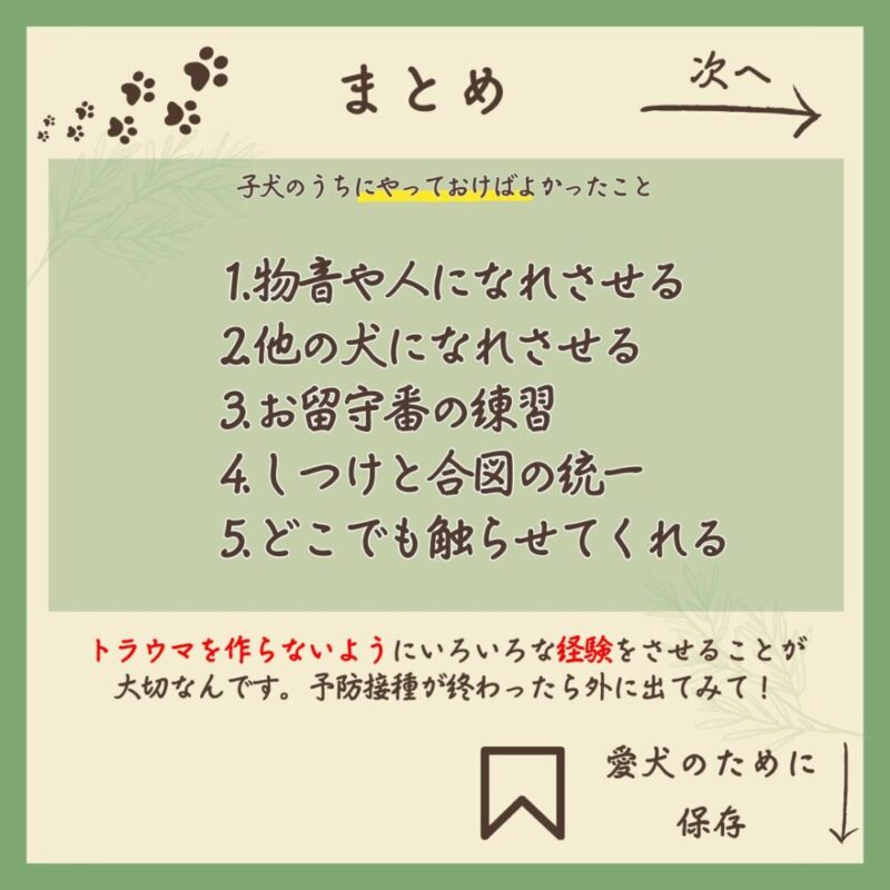 子犬のうちにやっておけばよかったこと5選　まとめ