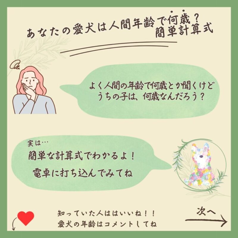 あなたの愛犬は人間の年齢で何歳？　訴求