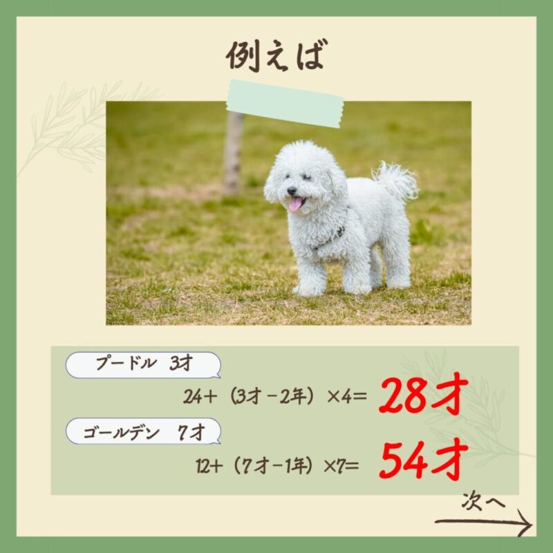 あなたの愛犬は人間の年齢で何歳？　例えば