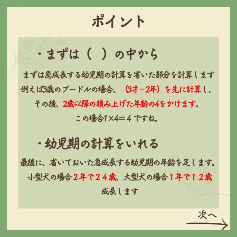 あなたの愛犬は人間の年齢で何歳？　ポイント