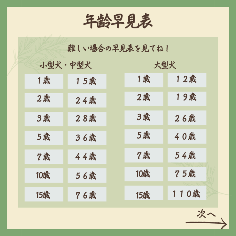 あなたの愛犬は人間の年齢で何歳？　年齢早見表