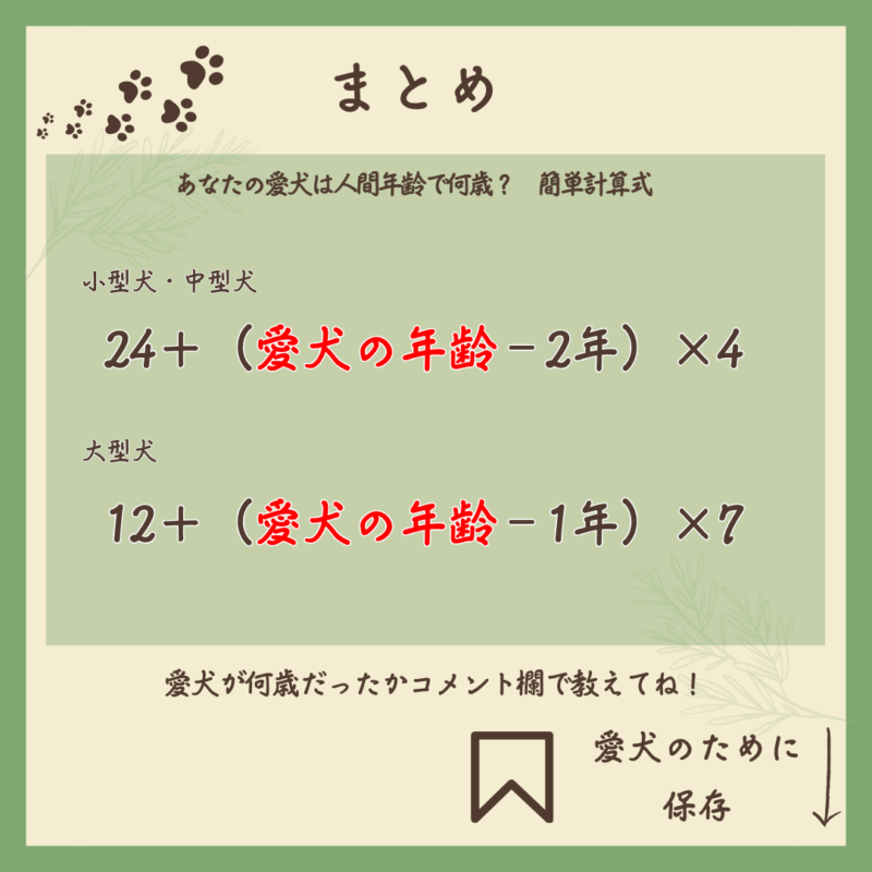 あなたの愛犬は人間の年齢で何歳？　まとめ