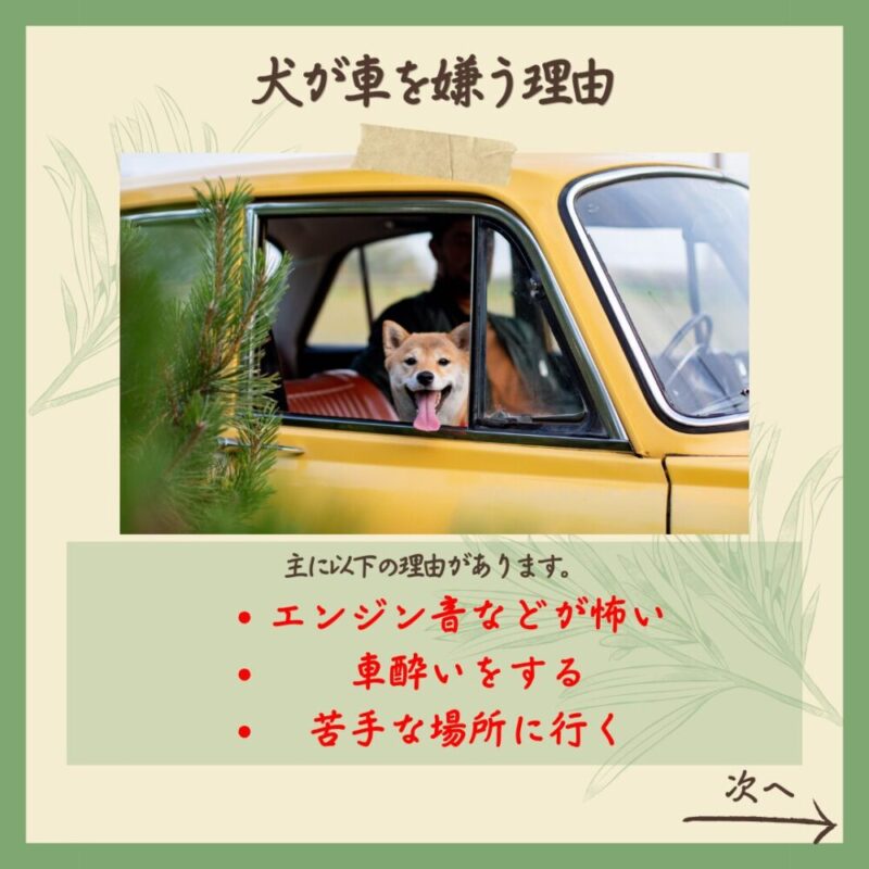 わんこのしつけ完全攻略　乗車編　犬が車を嫌う理由