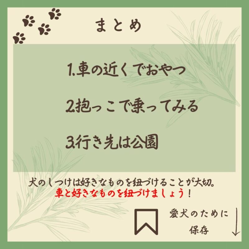 わんこのしつけ完全攻略　乗車編　まとめ