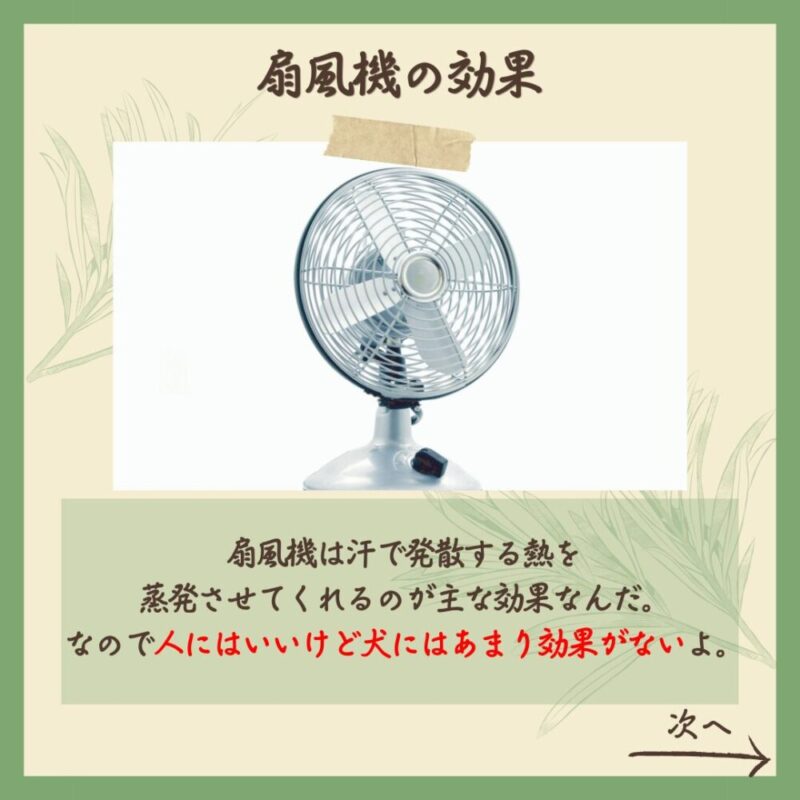 扇風機効果なし 扇風機の効果