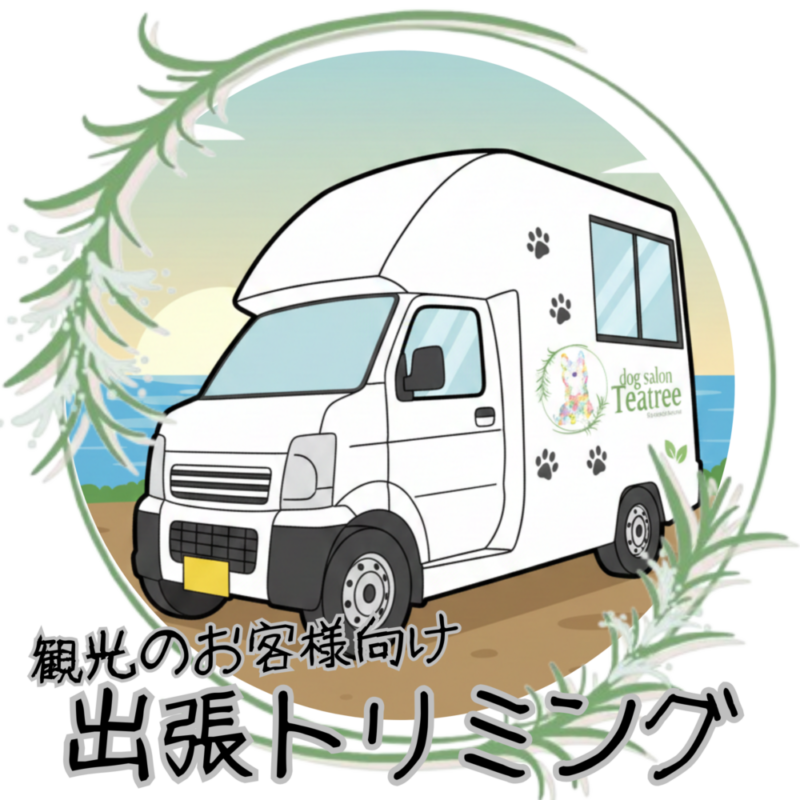 出張トリミング